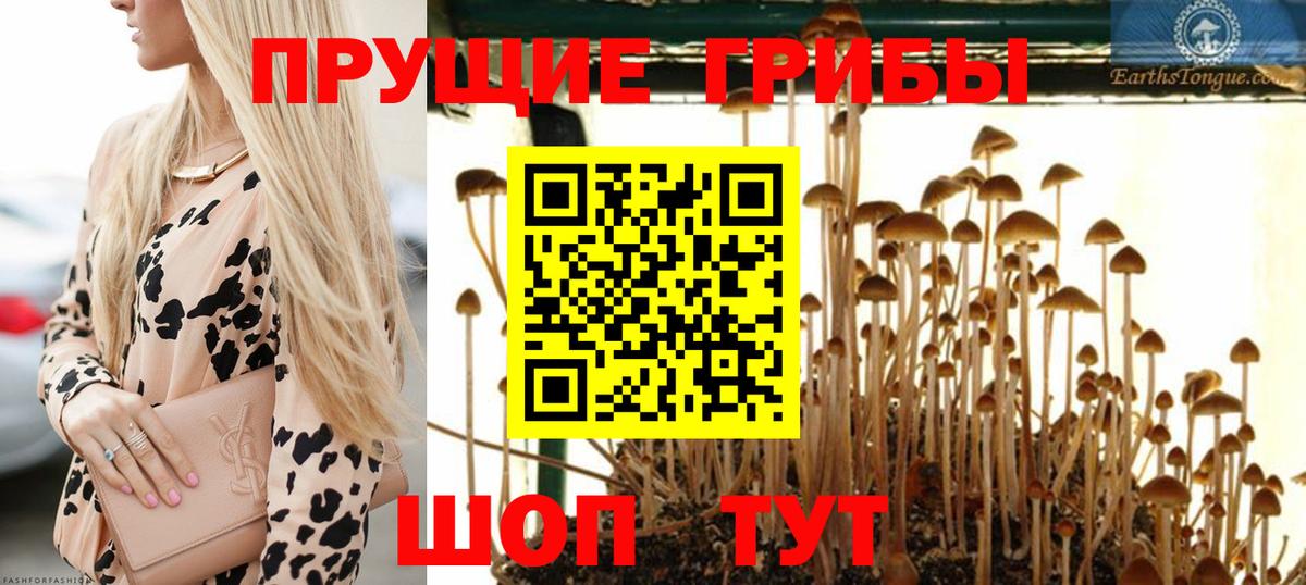 Псилоцибиновые грибы мицелий  Вход с VPN  Елец 